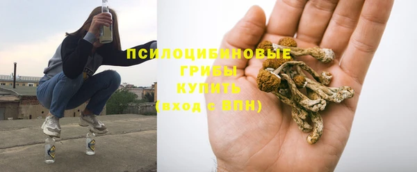 прущие грибы Березники