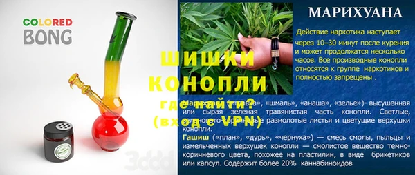 прущие грибы Березники