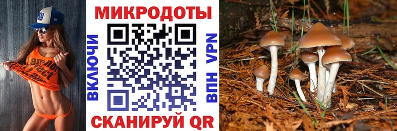 Галлюциногенные грибы прущие грибы Бикин